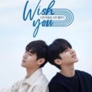 WISH YOU : Your Melody In My Heart (2020)